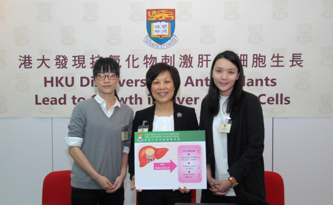 Ms Iris Xu (Left), PhD candidate of Department of Pathology, Professor Irene Ng (Middle), Loke Yew Professor in Pathology, Chair Professor and Head of Department of Pathology, Director of State Key Laboratory for Liver Research, and Dr Carmen Wong (Right), Assistant Professor of Department of Pathology, Li Ka Shing Faculty of Medicine, HKU, took a group photo at the press conference.